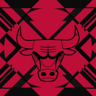 Chicago Bulls wallpaper