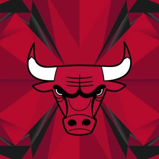 Chicago Bulls wallpaper