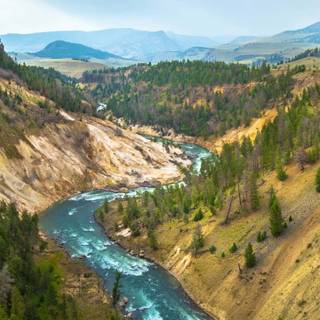 Yellowstone phone wallpaper