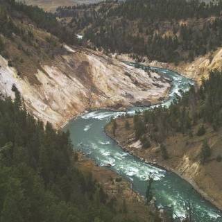 Yellowstone phone wallpaper