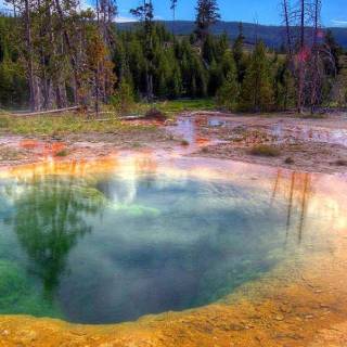 Yellowstone phone wallpaper