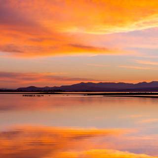 Yellowstone phone wallpaper