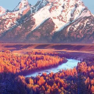 Yellowstone phone wallpaper