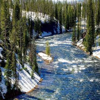 Yellowstone phone wallpaper