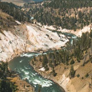 Yellowstone phone wallpaper