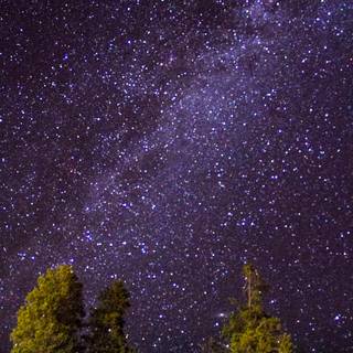 Yellowstone phone wallpaper