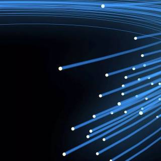 X-ray iPhone wallpaper