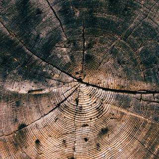 Wooden phone wallpaper