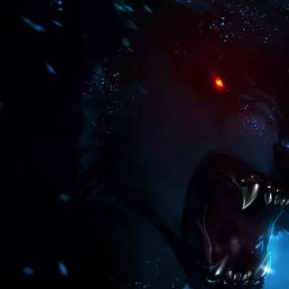 Wolf iPhone 12 wallpaper