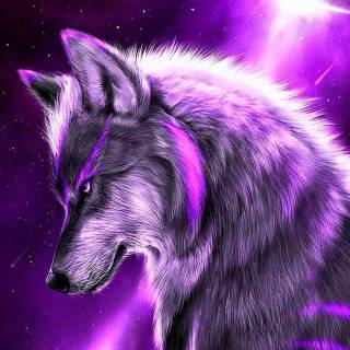 Wolf iPhone 12 wallpaper