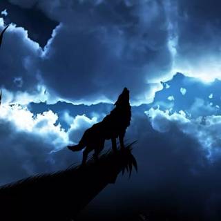 Wolf iPhone 12 wallpaper