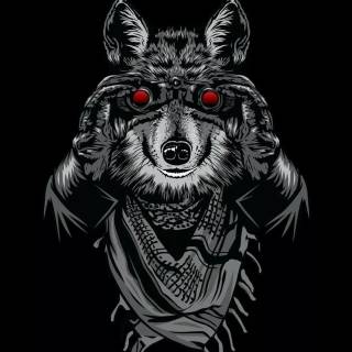 Wolf iPhone 12 wallpaper