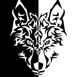 Wolf iPhone 12 wallpaper