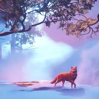 Wolf iPhone 12 wallpaper