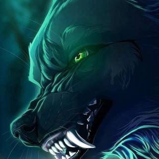 Wolf iPhone 12 wallpaper