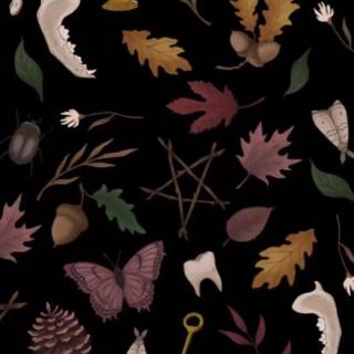 Witchcraft iPhone wallpaper