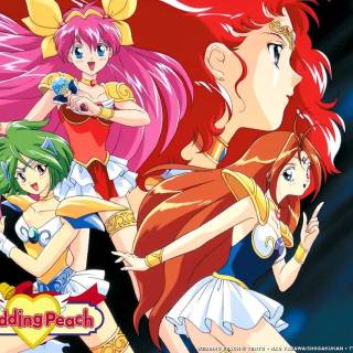 Wedding Peach wallpaper