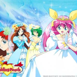 Wedding Peach wallpaper