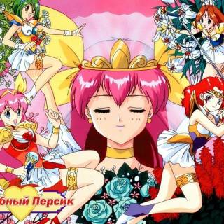 Wedding Peach wallpaper