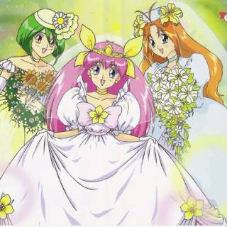 Wedding Peach wallpaper