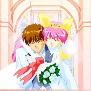 Wedding Peach wallpaper