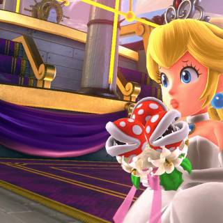 Wedding Peach wallpaper