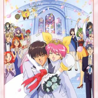 Wedding Peach wallpaper