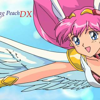 Wedding Peach wallpaper