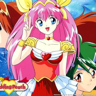 Wedding Peach wallpaper