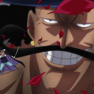 Vista One Piece wallpaper