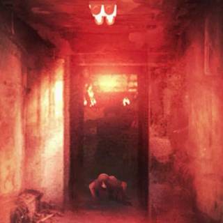 Homicipher wallpaper