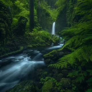 Dark waterfall wallpaper