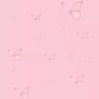 Basic pink wallpaper