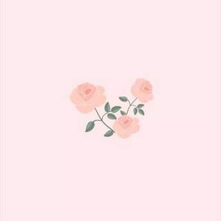 Basic pink wallpaper