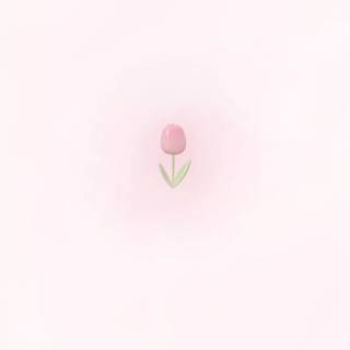 Basic pink wallpaper