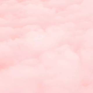 Basic pink wallpaper