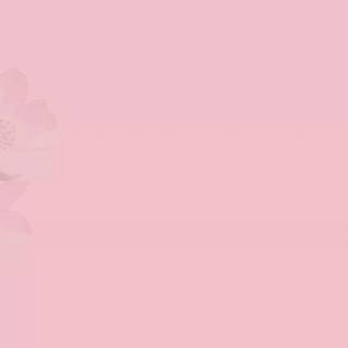 Basic pink wallpaper