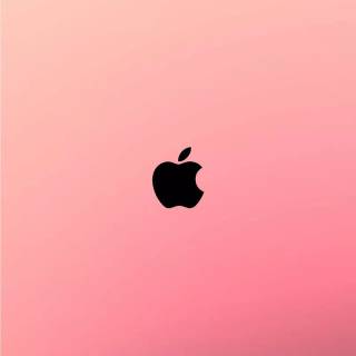 Basic pink wallpaper