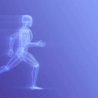 Physical therapist wallpaper