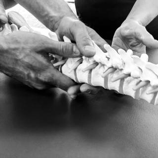 Physical therapist wallpaper