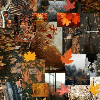 Fall wallpaper
