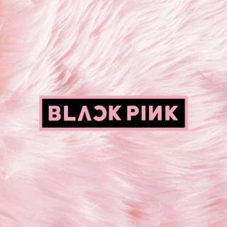 BLACKPINK wallpaper