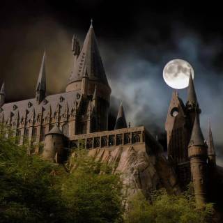 Harry Potter wallpaper