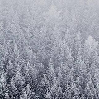 iPhone 13 HD winter wallpaper