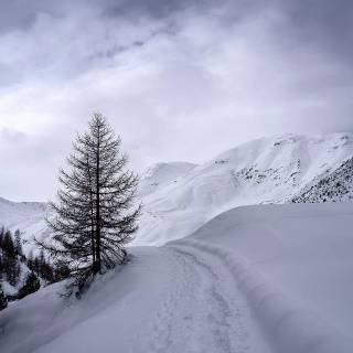 iPhone 13 HD winter wallpaper