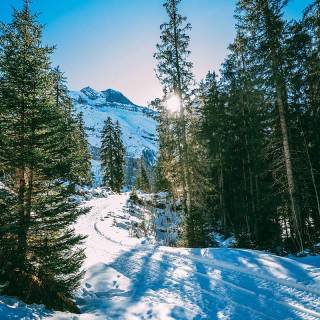 iPhone 13 HD winter wallpaper