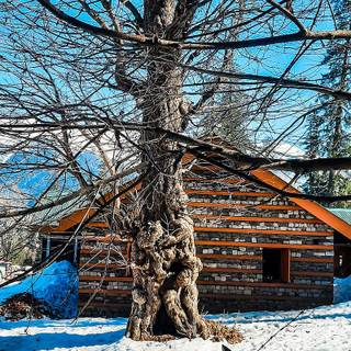 iPhone 13 HD winter wallpaper