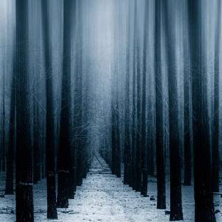 iPhone 13 HD winter wallpaper