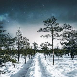 iPhone 13 HD winter wallpaper