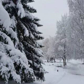 iPhone 13 HD winter wallpaper